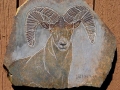 BLUE SPIRIT - Big Horn Sheep Ram - RSC 16