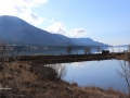 Columere Pond Easter Sunday 2015 IMG_9017.jpg