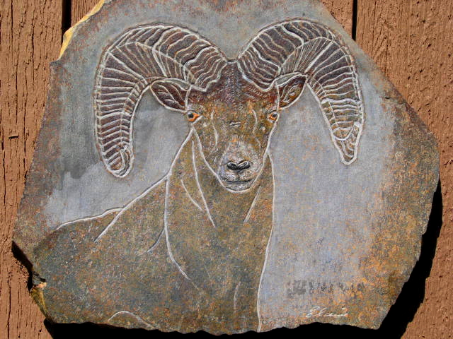 BIG HORN 16 BLUE SPIRIT, BHSC16, IMG183-8358